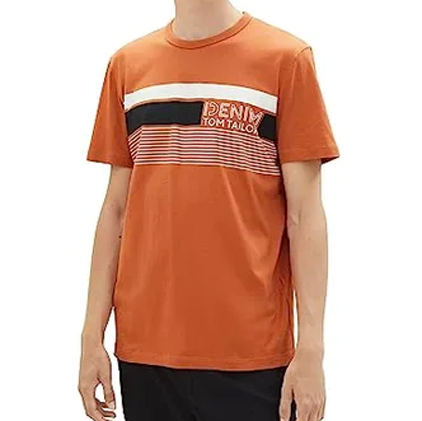 Tom Tailor Men T-Shirt