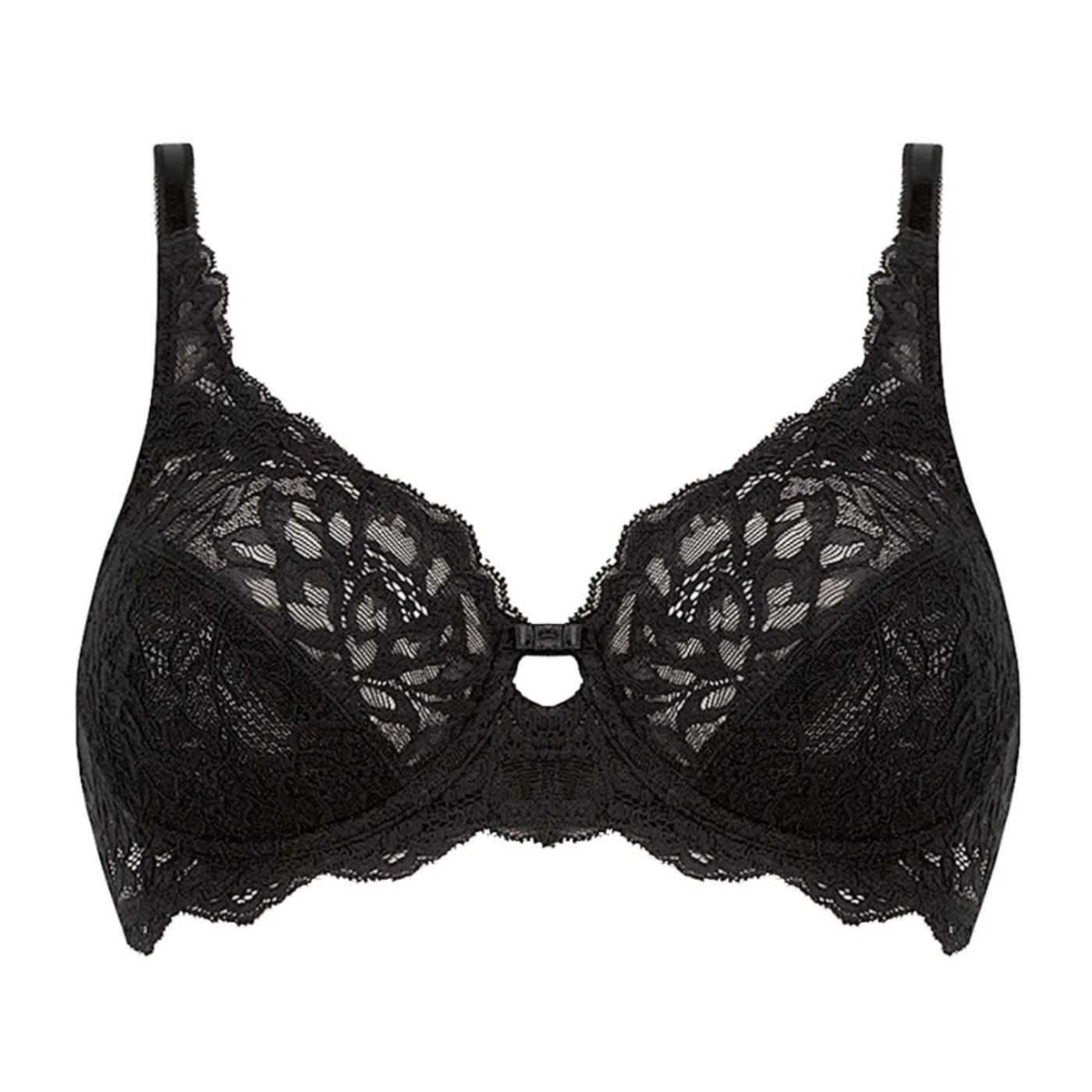 Triumph - TRI40.10180446.0004