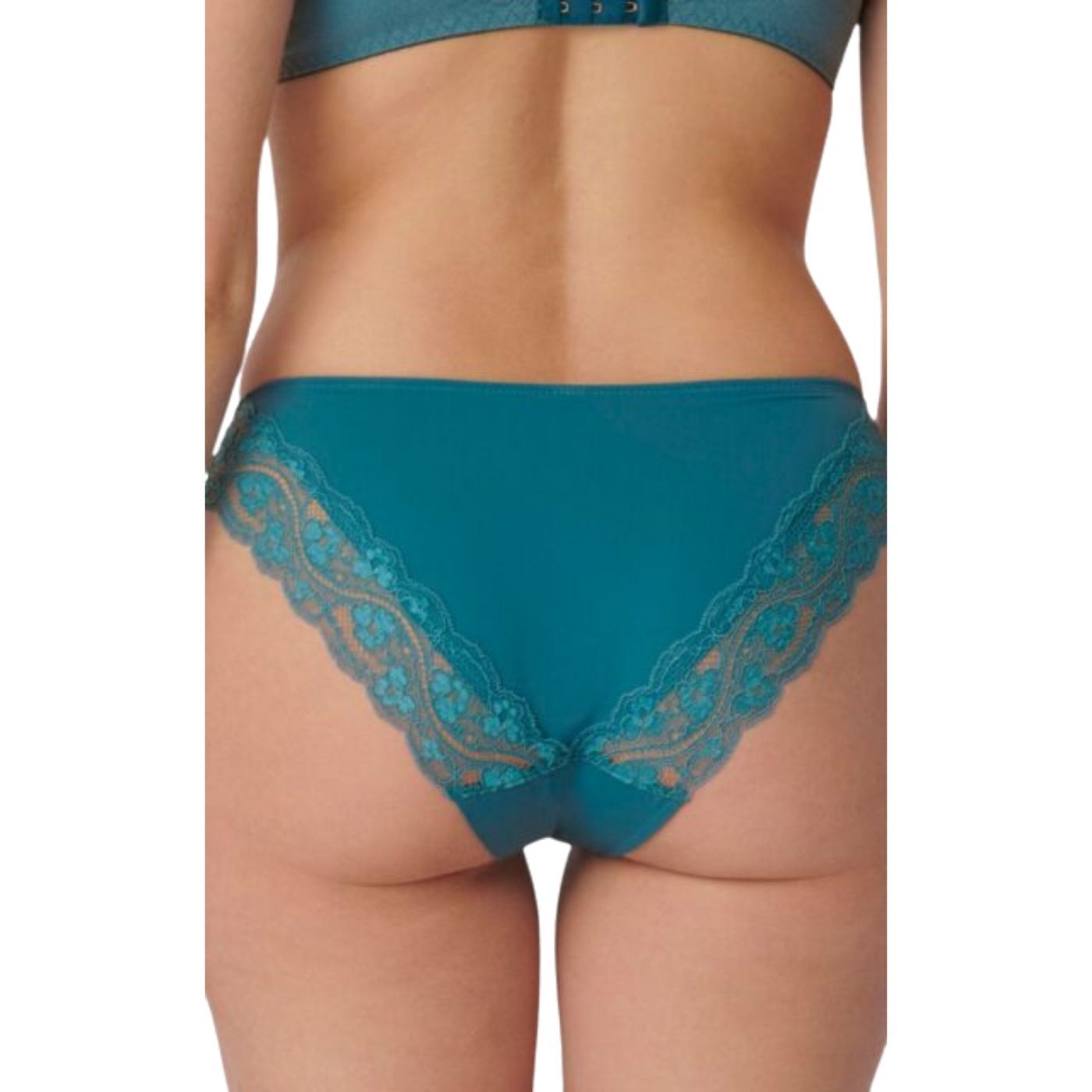 Triumph - 10182556.7404