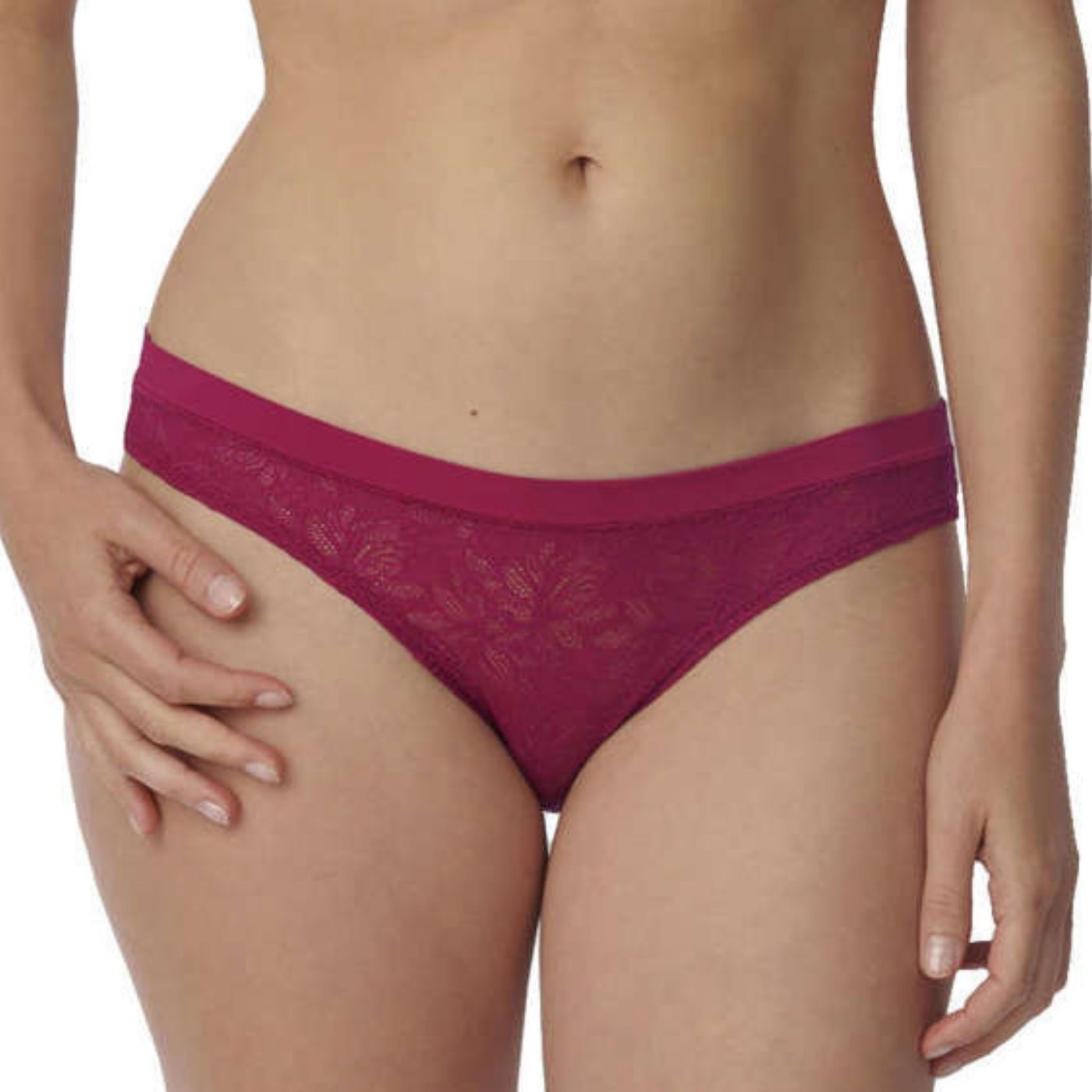 Triumph - 10211464.00TY