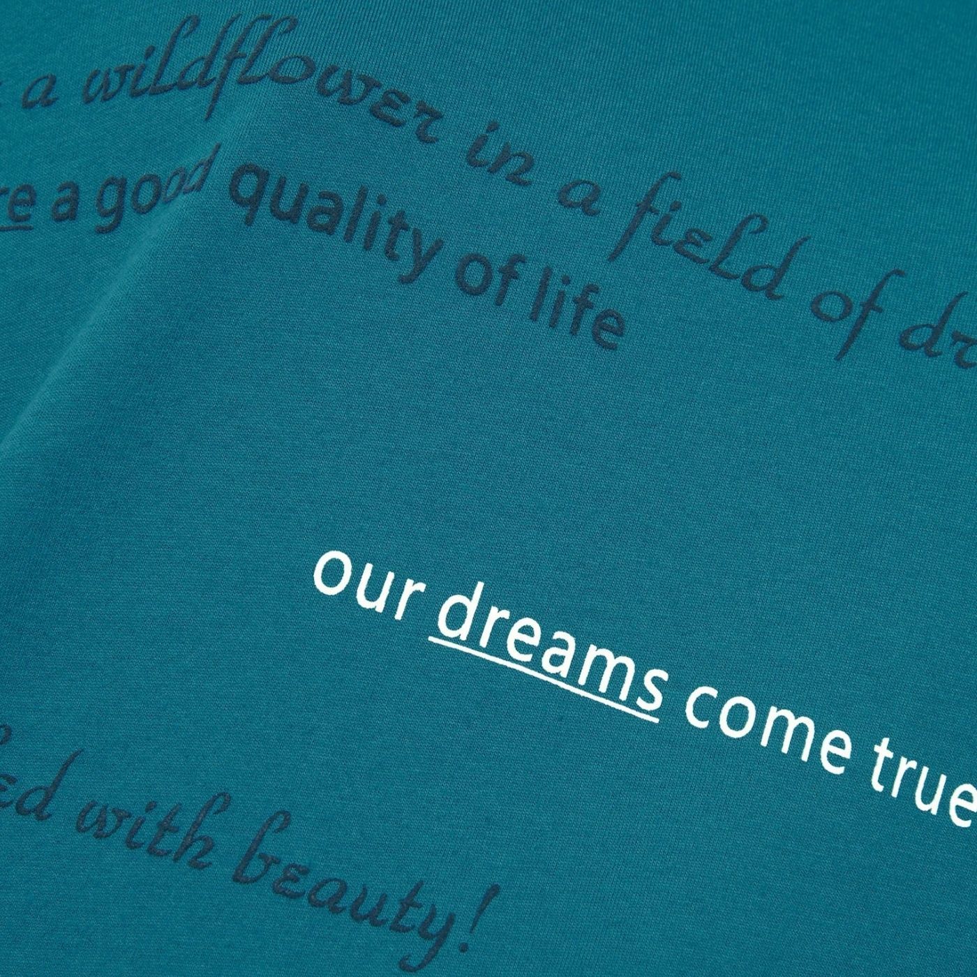 Triumph - 10207536.7404