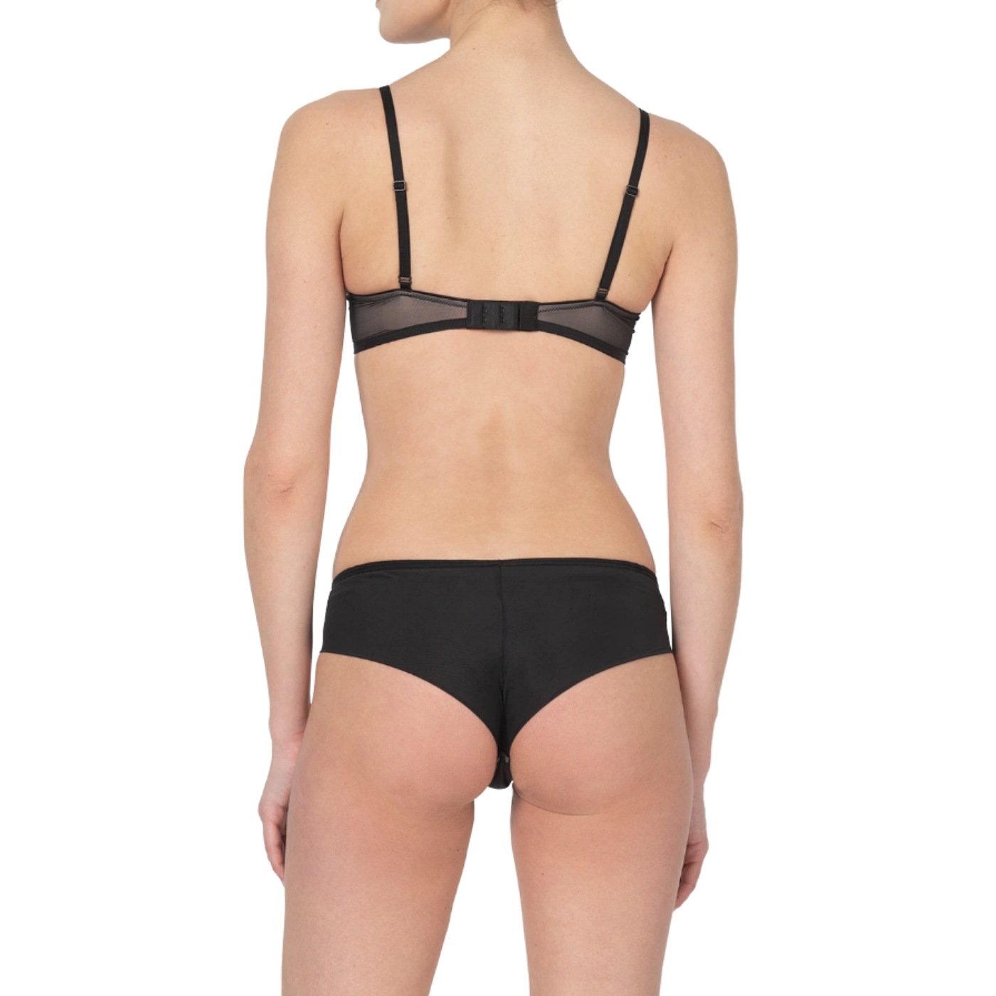 Triumph - TRI06.10202488.0004