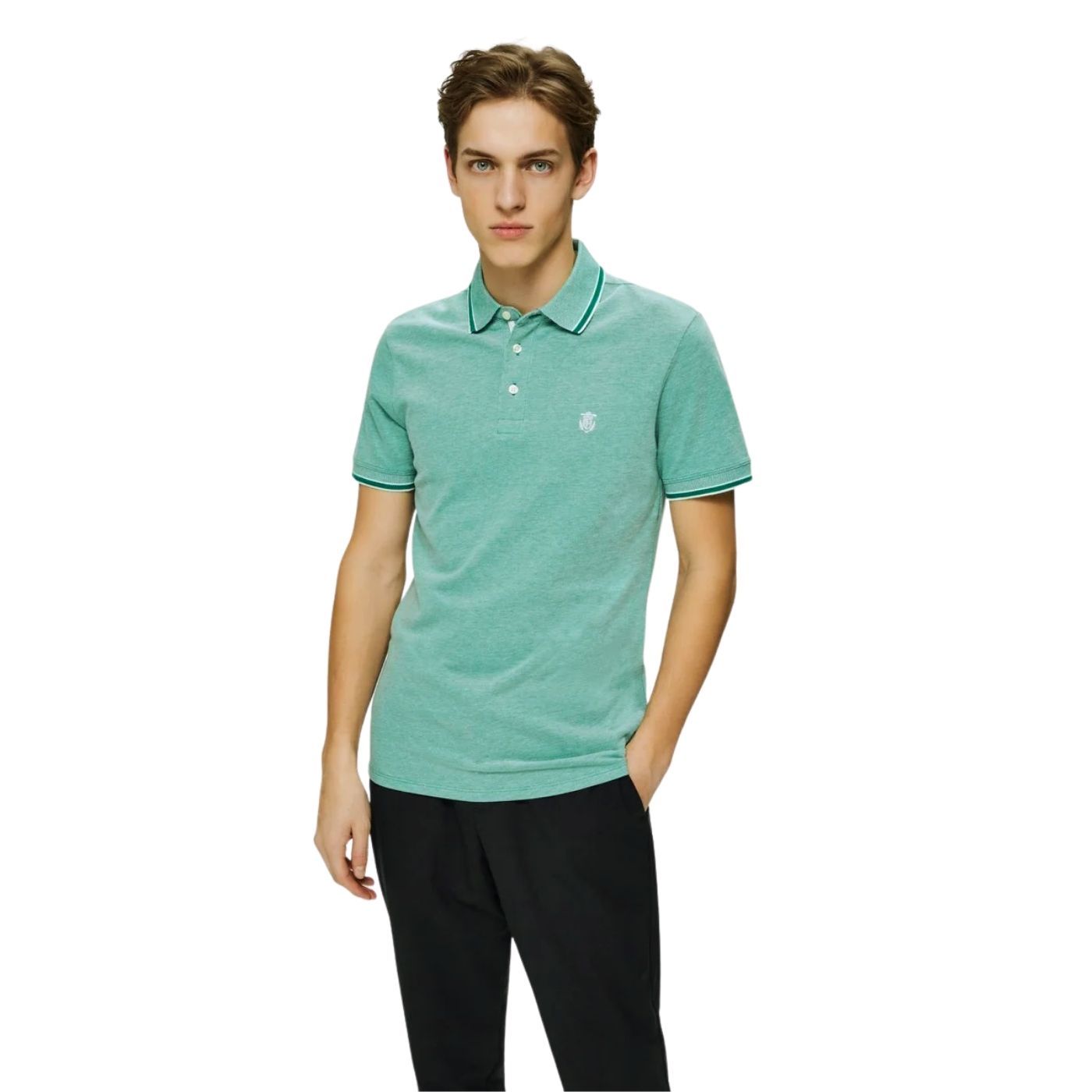 SELECTED - 16065598.shadyglade