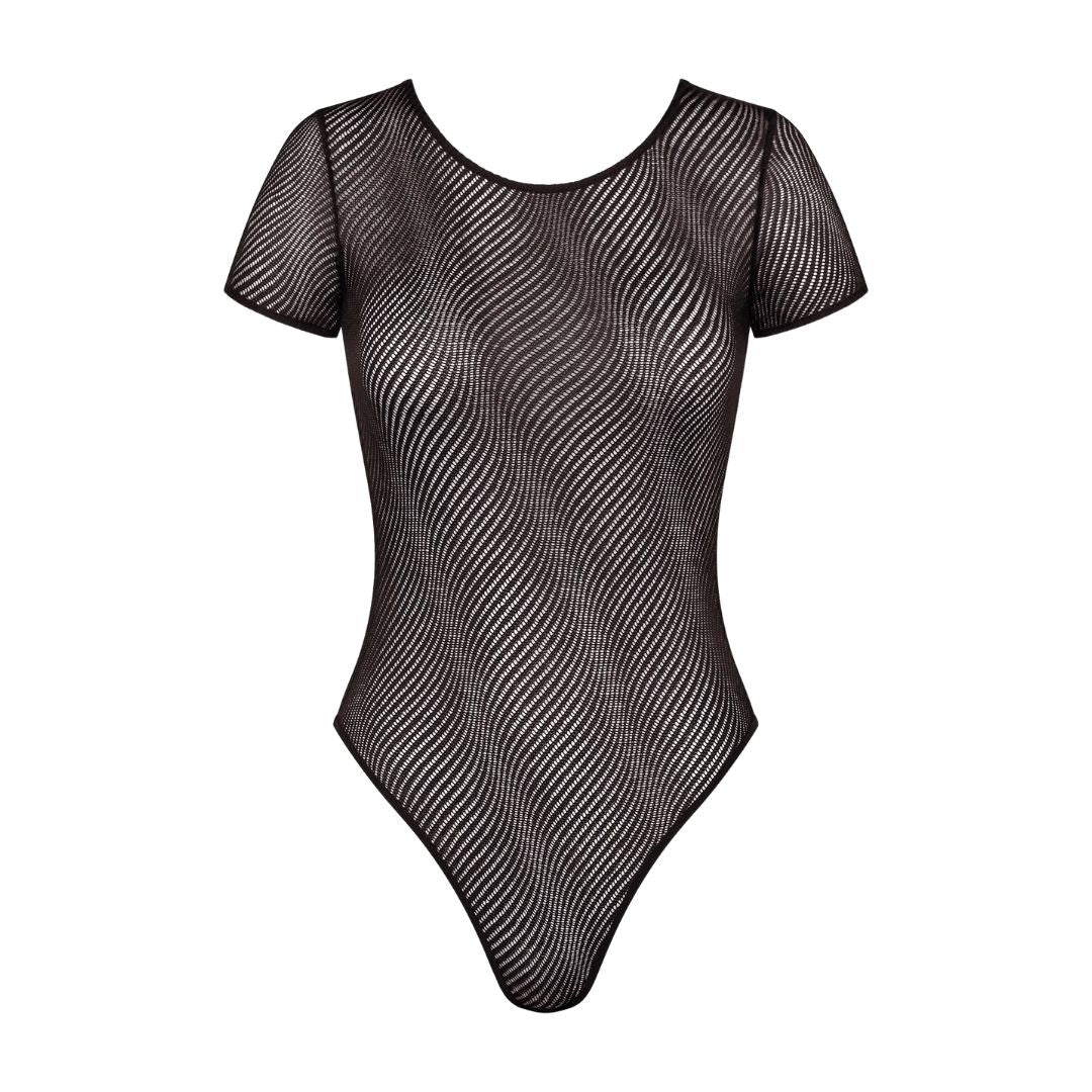 Triumph Harmony Spotlight Body