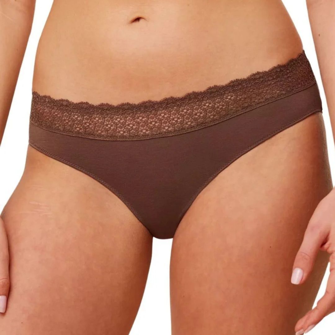 Triumph Fell Of Modal Tai