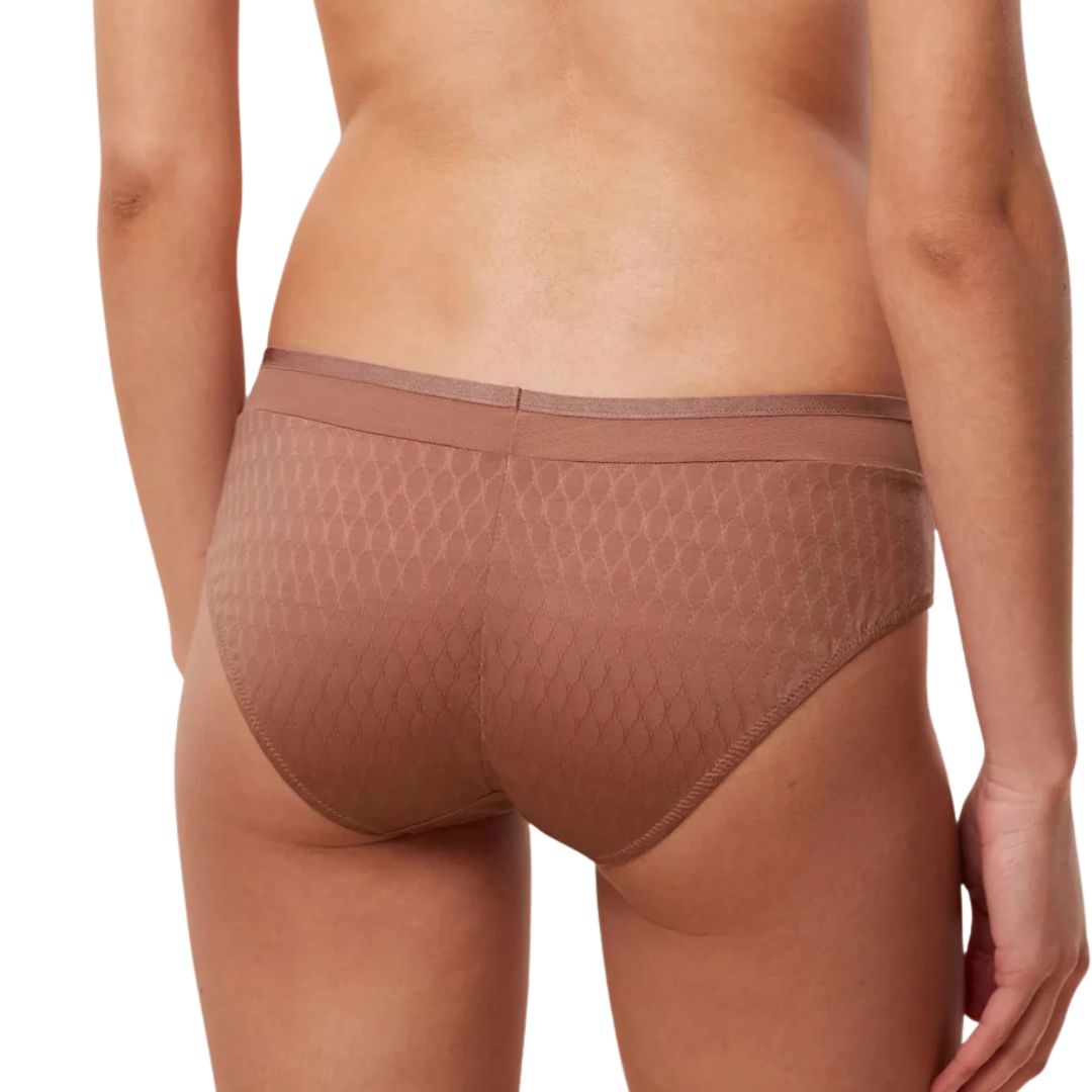 Triumph Azalea Florale Hipster