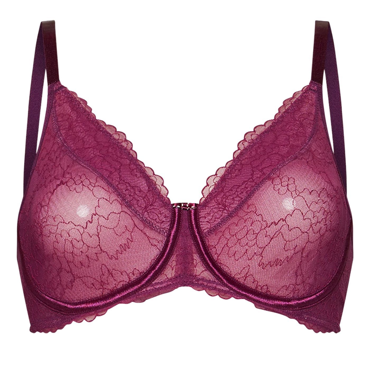 Triumph - TRI01.10209644.6844