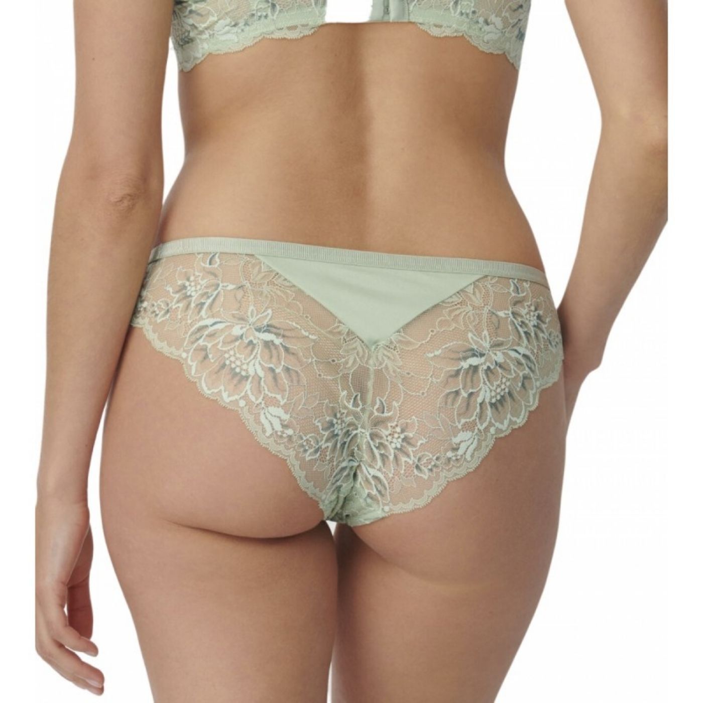 Triumph - 10205567.7396