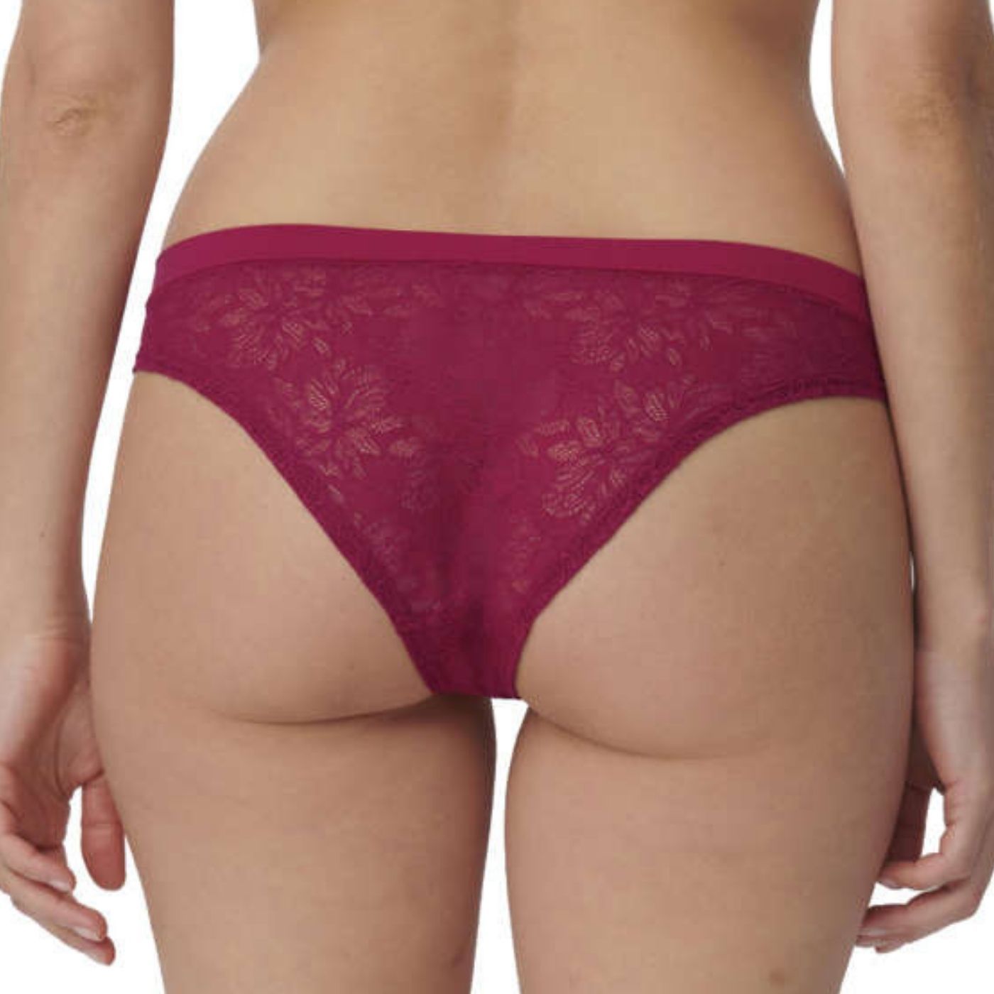 Triumph - 10211464.00TY