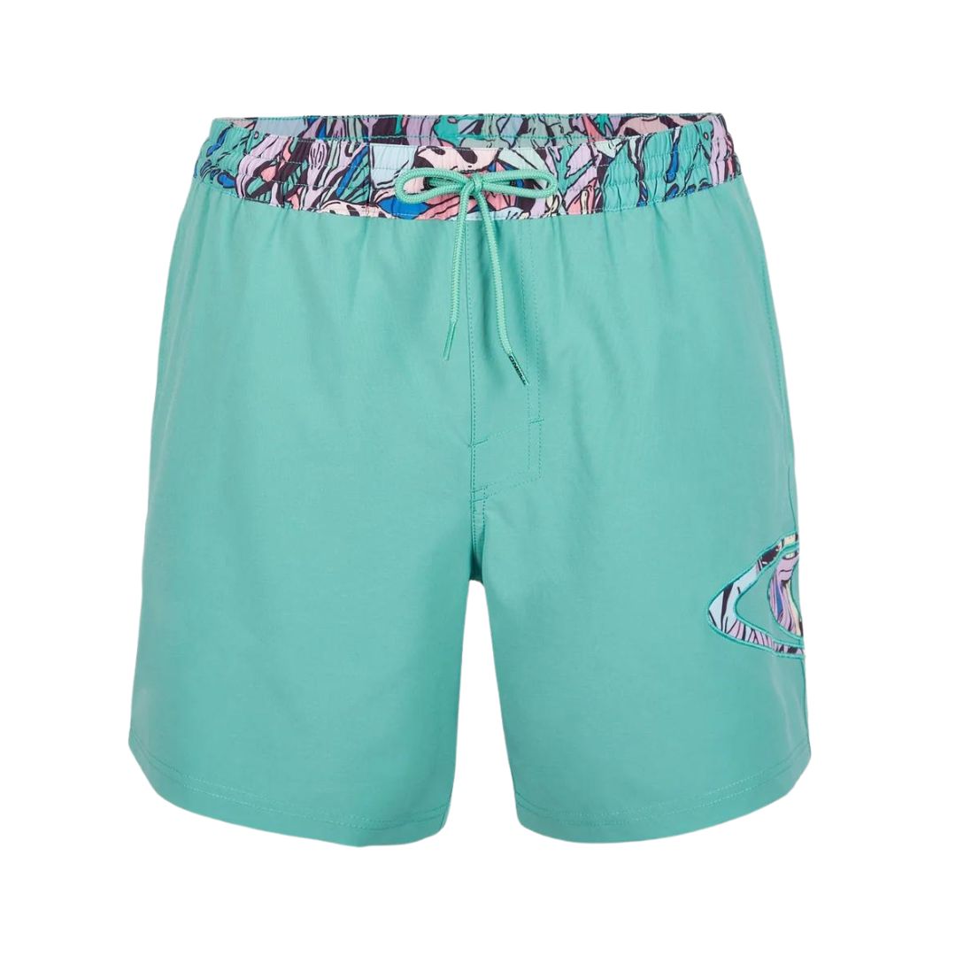 O'Neill Verti Swim Shorts