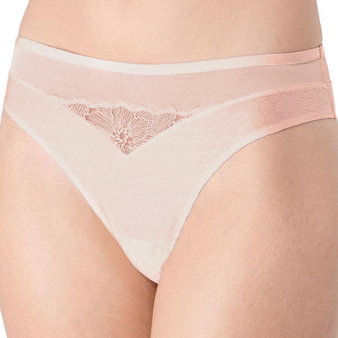 Triumph - TRI31.10184457.3681