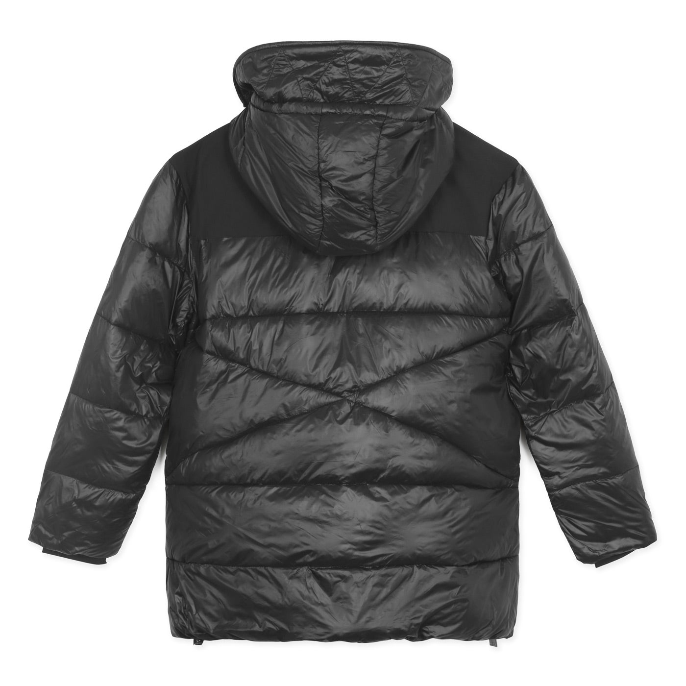 U.S. Polo Assn Winter Coat | Black