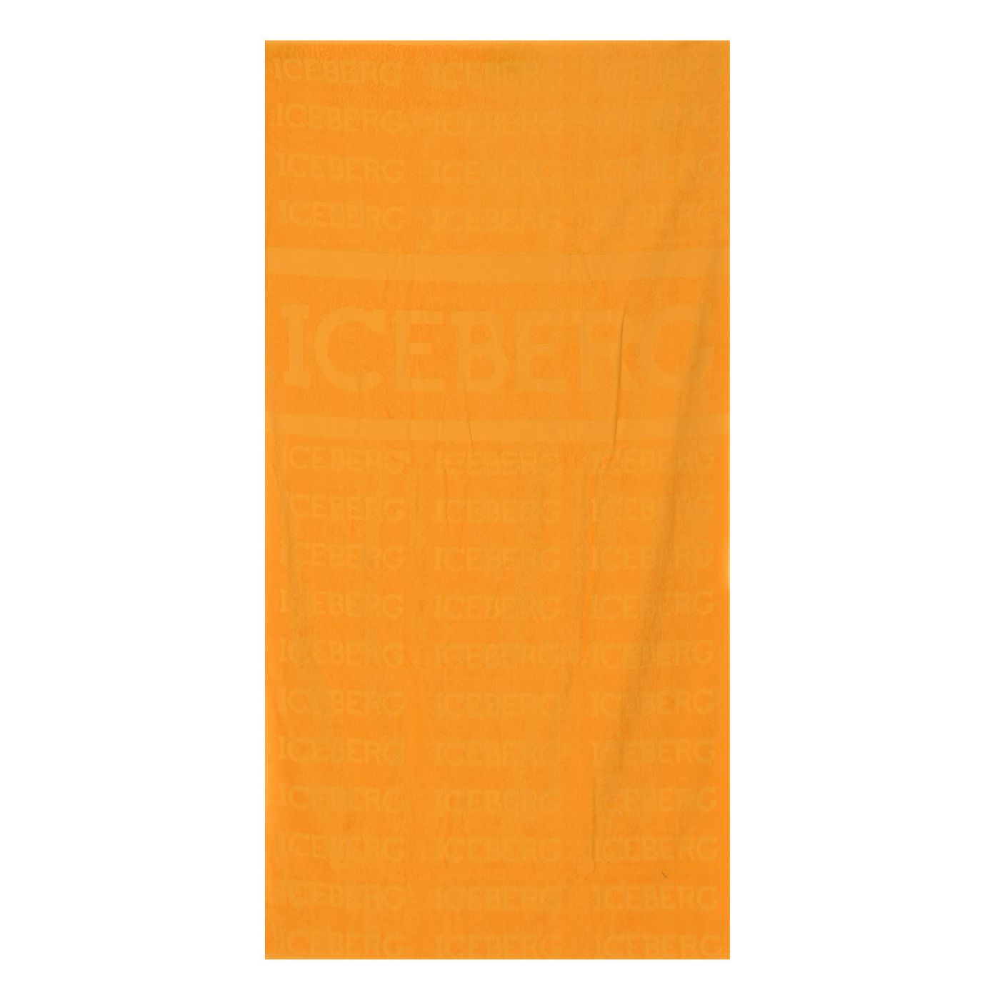 Iceberg Beach Towel