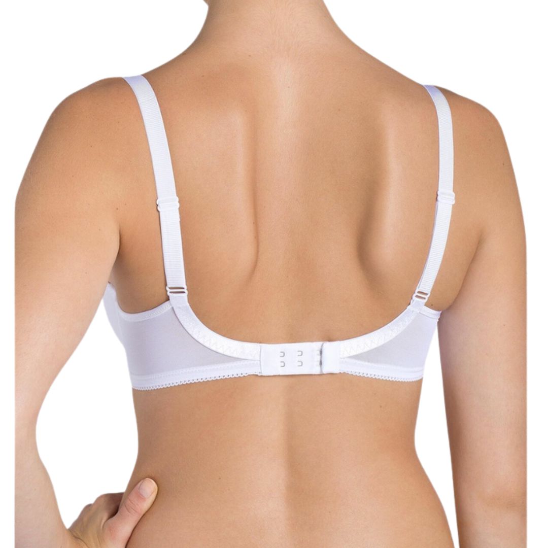 Triumph Beauty-Full Darling WP