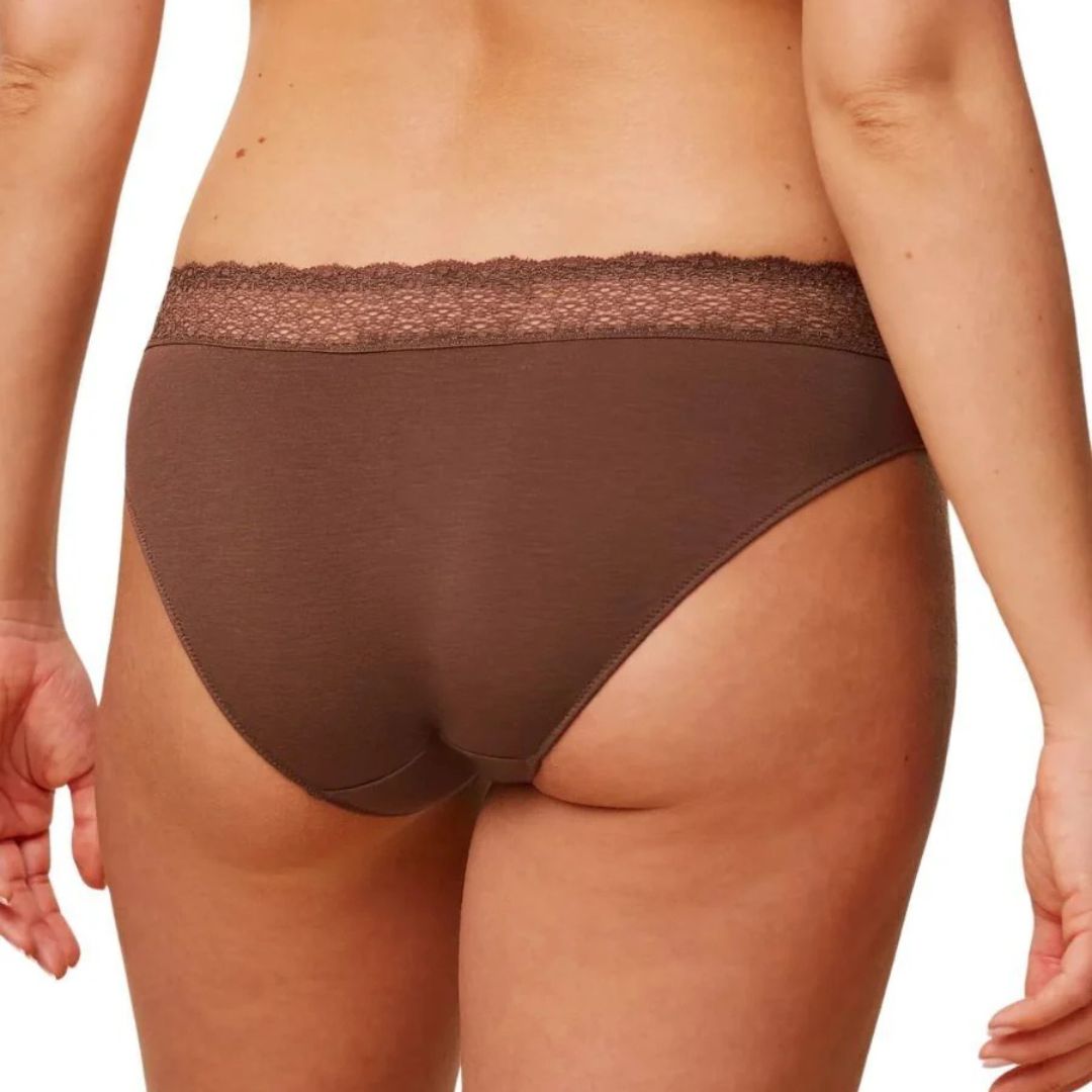 Triumph Fell Of Modal Tai