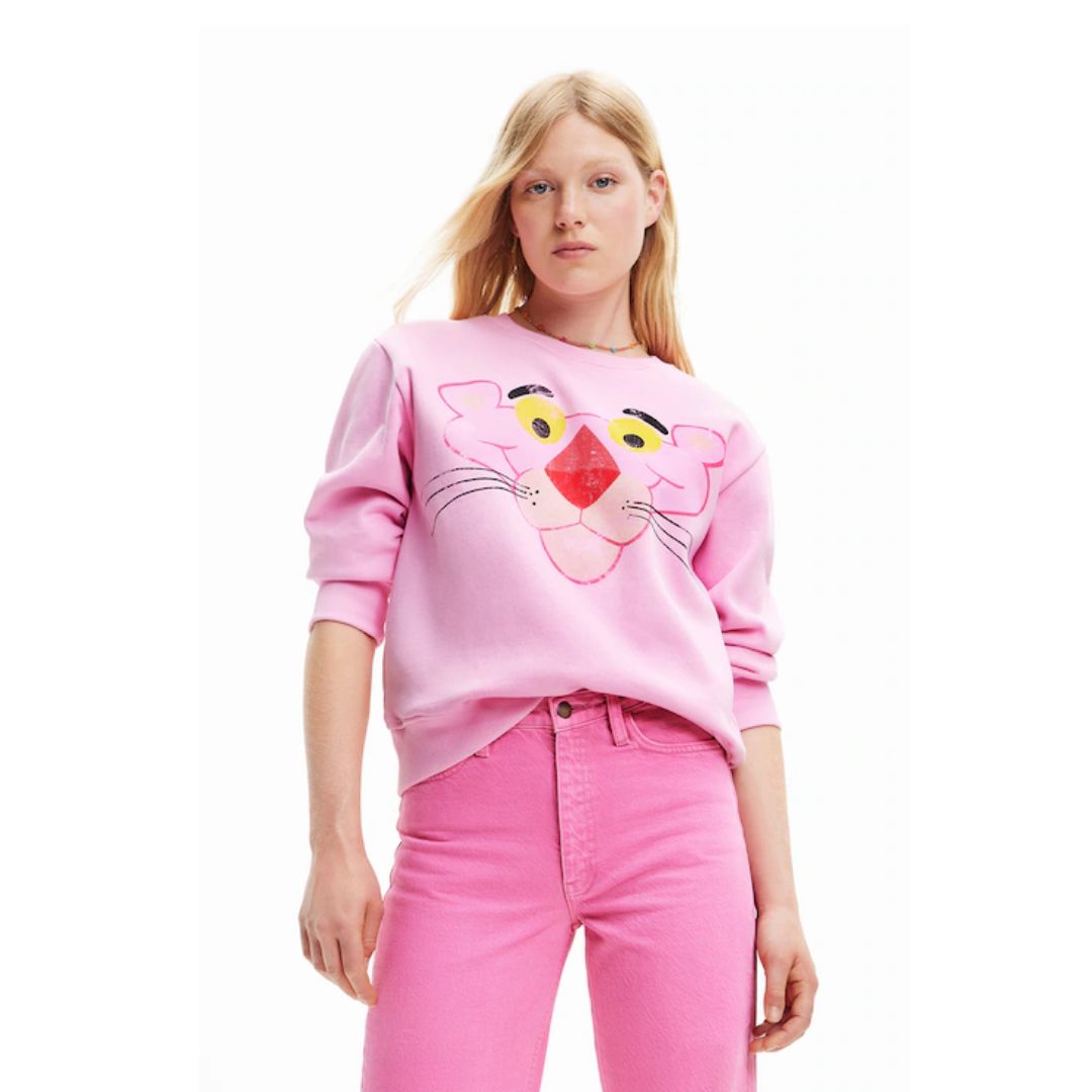 Desigual Pullover