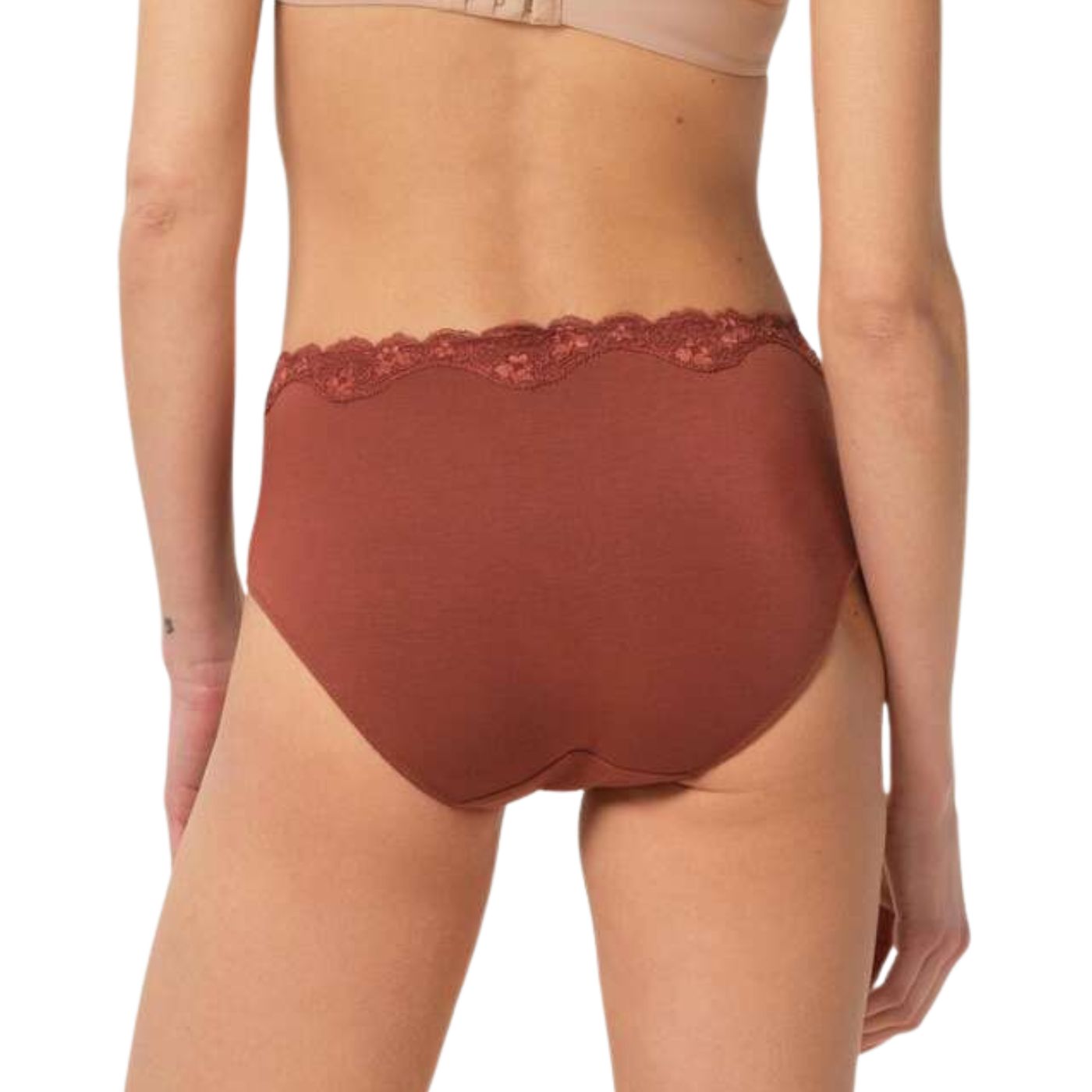 Triumph Touch of Modal Midi